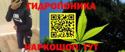 соль курить ск Гай