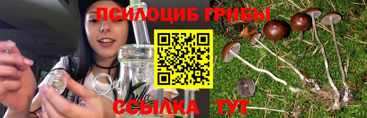 Ногинск  Галлюциногенные грибы Psilocybine cubensis  Галлюциногенные грибы GOLDEN TEACHER  Вход с VPN 