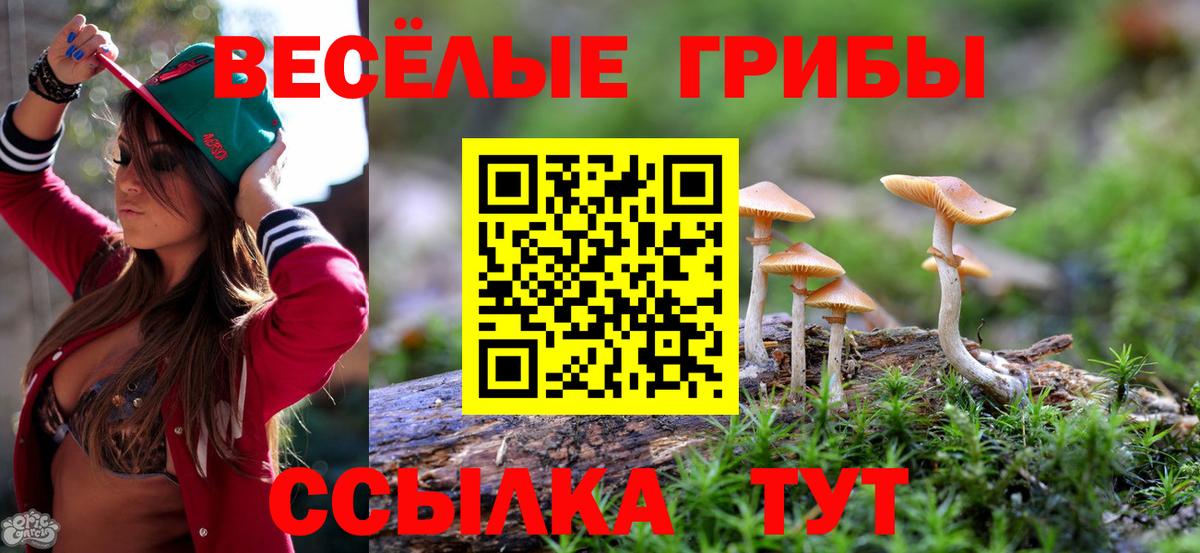 Псилоцибиновые грибы Psilocybine cubensis Ногинск